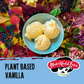 Plant Based Vanilla Ice Cream