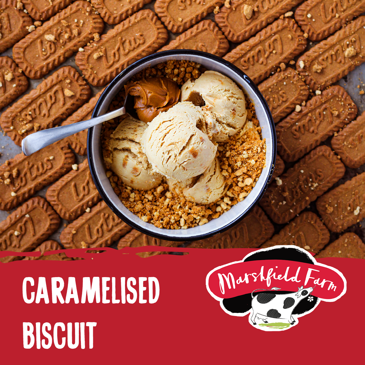 Caramelised Biscuit Ice Cream