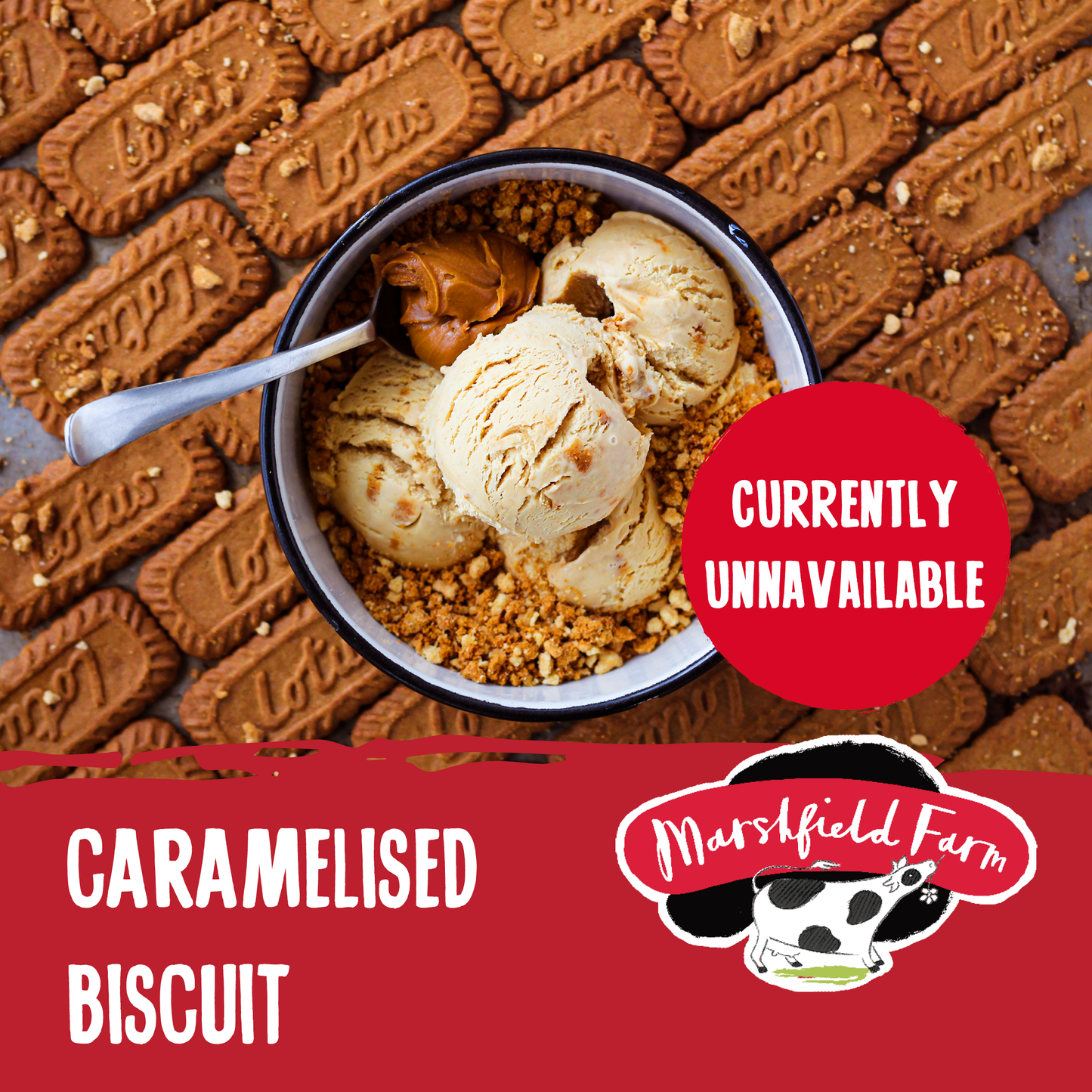 Caramelised Biscuit Ice Cream