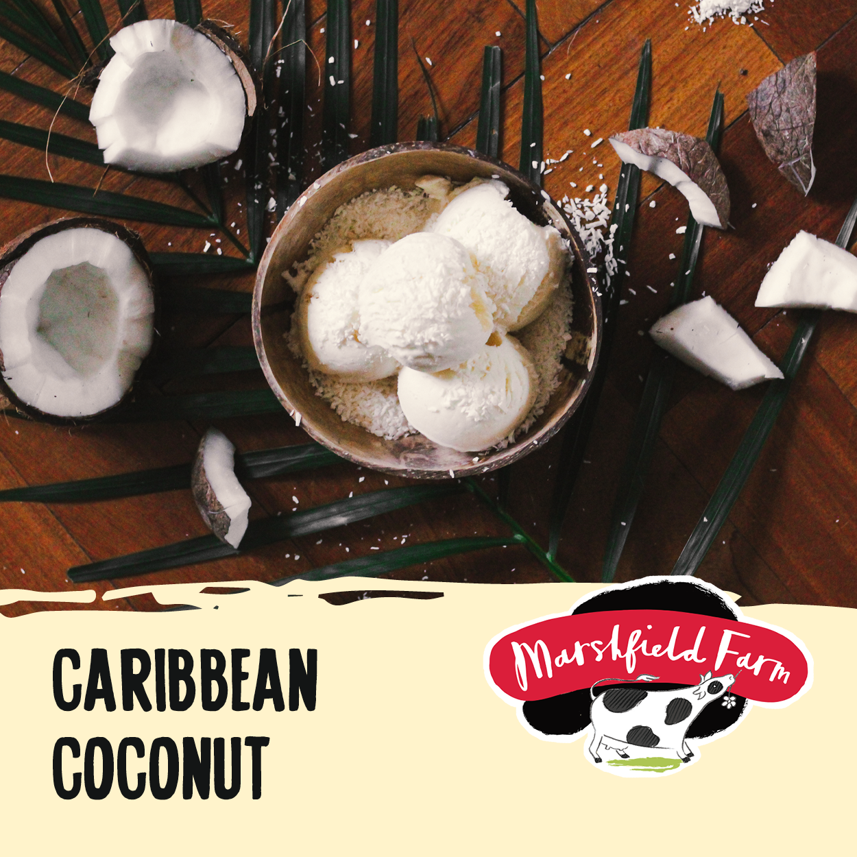 Caribbean Coconut Ice Cream