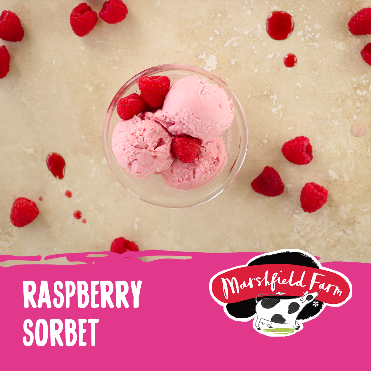 Raspberry Sorbet