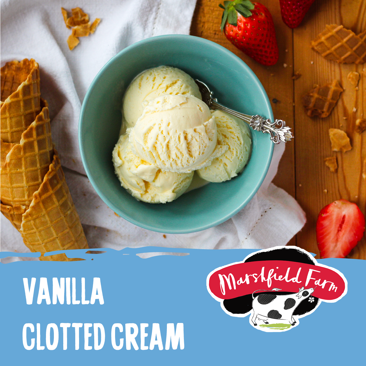 Vanilla Clotted Cream Ice Cream